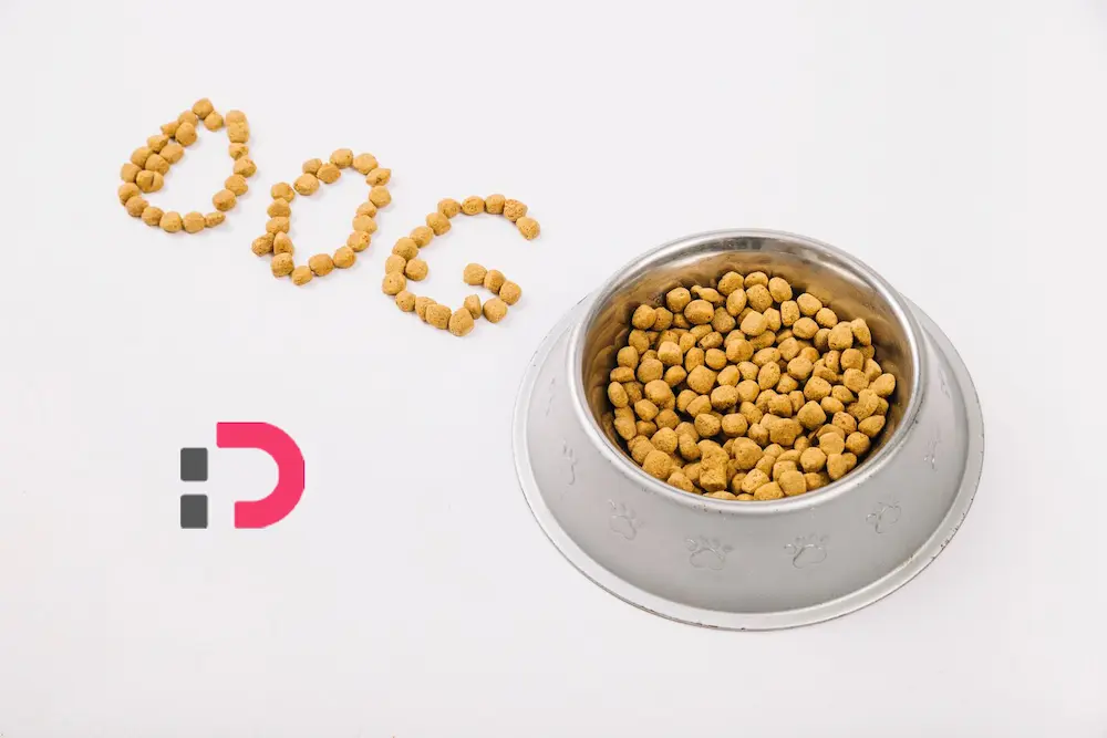 راهنمای جامع خرید غذای خشک سگ بر اساس نژاد و سن | پت‌شاپ آنلاین پتدونی 1404