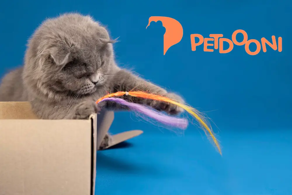 نقش عروسک بازی گربه در کاهش رفتارهای پرخاشگرانه | چگونه یک اسباب‌بازی ساده می‌تواند به مدیریت خشم و انرژی اضافه گربه کمک کند؟ | پت شاپ آنلاین پت دونی 1404