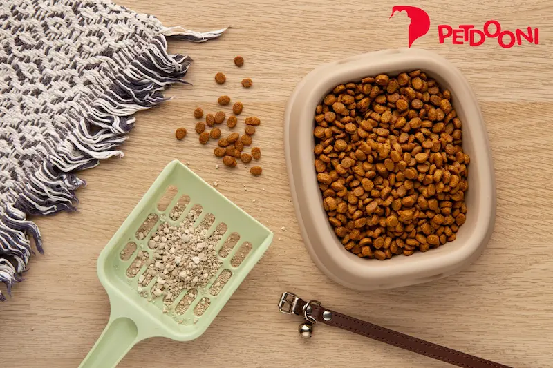 ظرف خاک گربه ارزان اما باکیفیت | معرفی 6 گزینه مقرون به صرفه بازار | پت شاپ آنلاین پت دونی