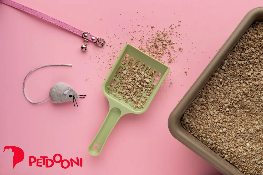 راهنمای انتخاب بهترین خاک گربه برای کاهش بوی نامطبوع آن | پت شاپ آنلاین پت دونی 1404